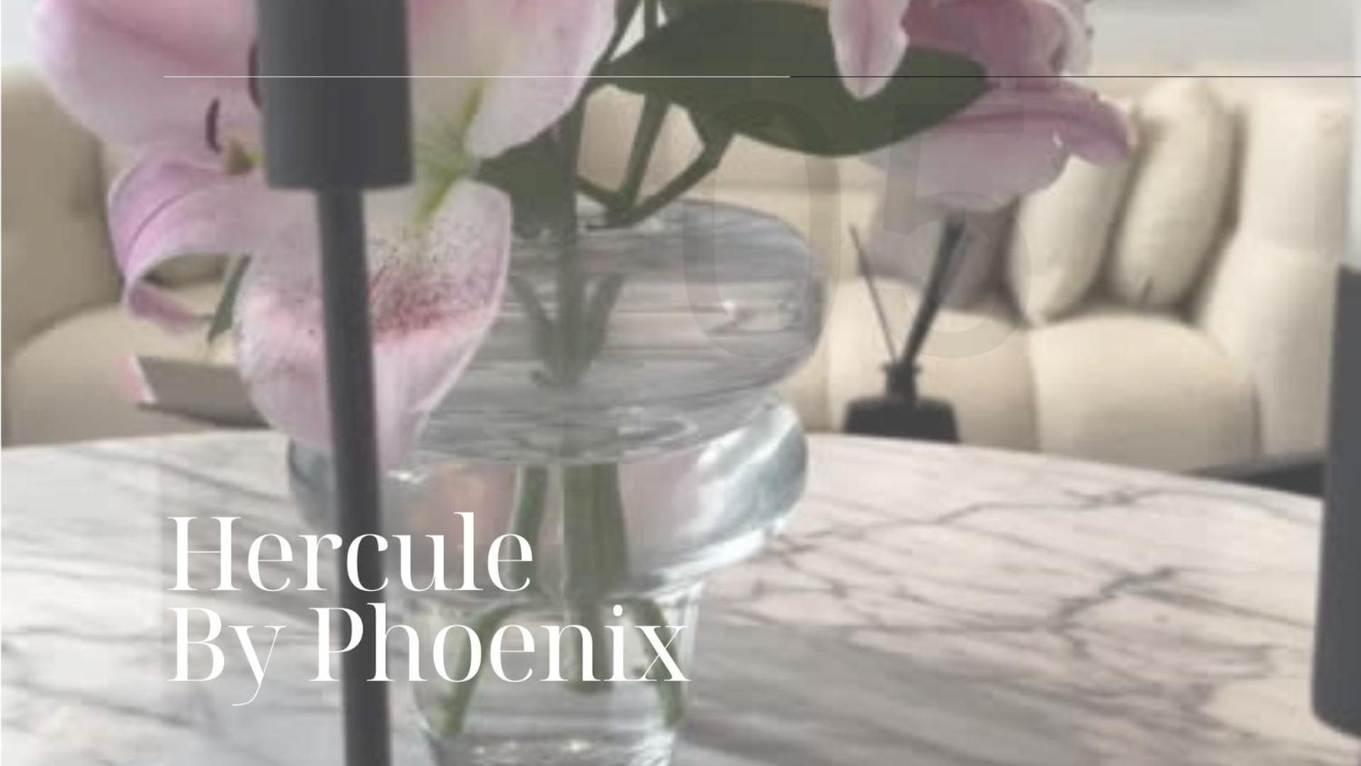 Phoenix Garden Apartment Mons Luaran gambar